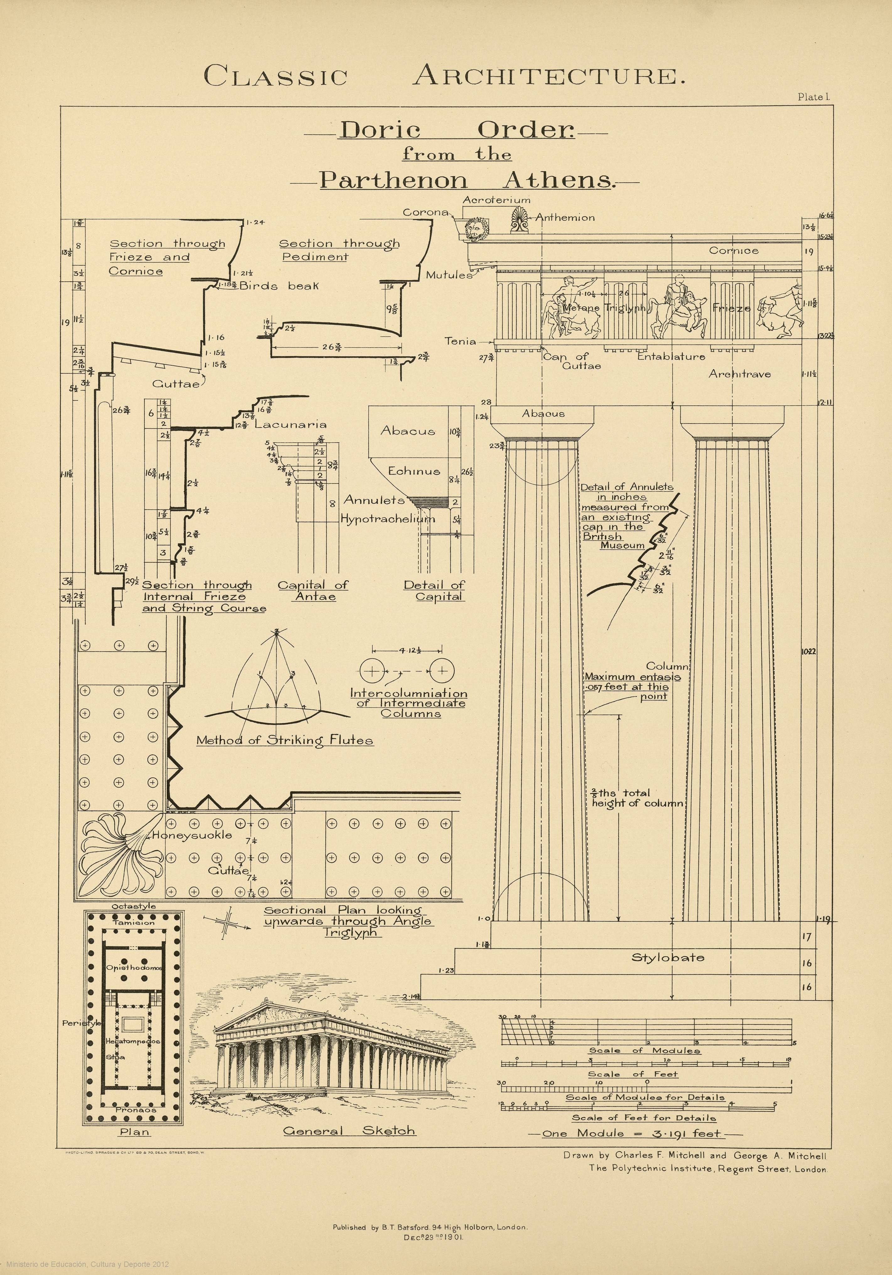 Plate I