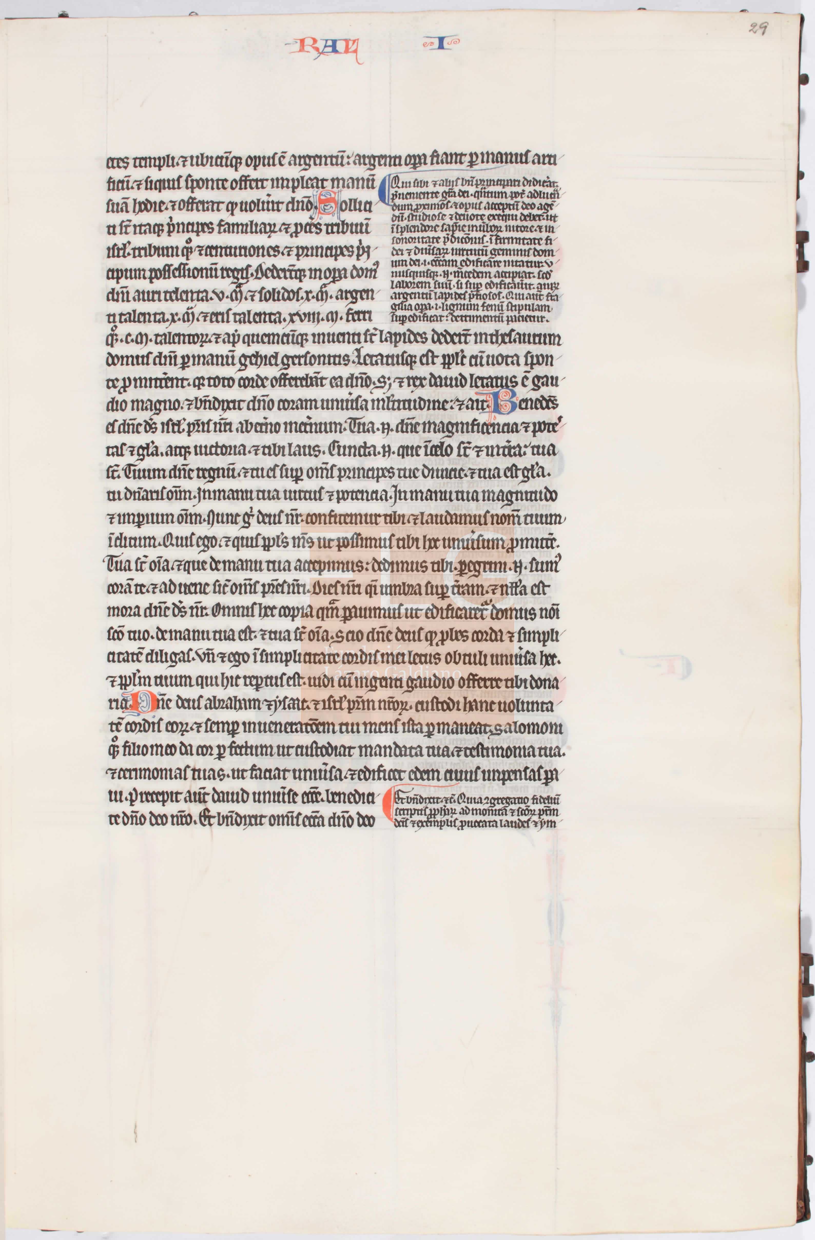 Fol. 29r