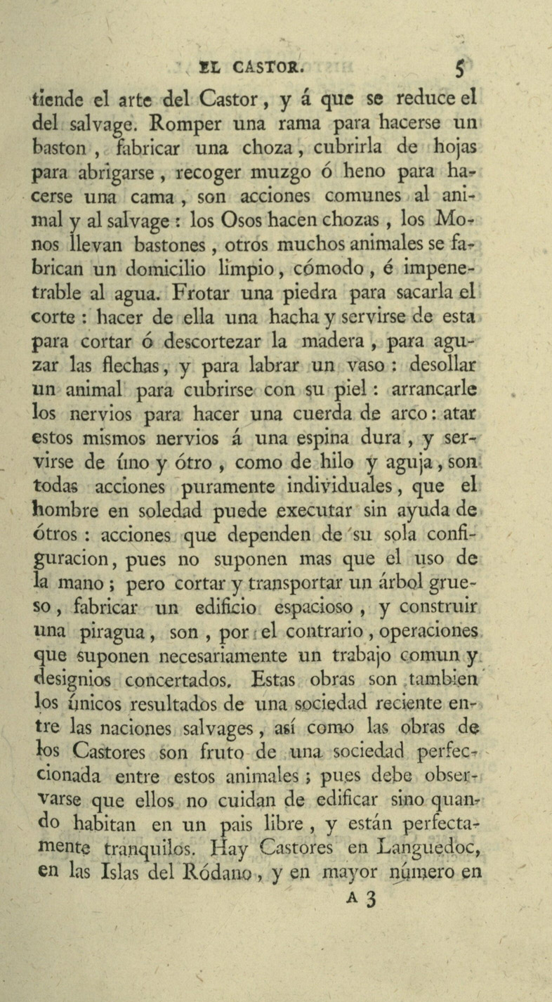 Pag. 19