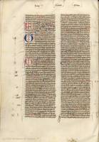 119v