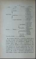 Pag. 46