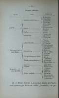 Pag. 50