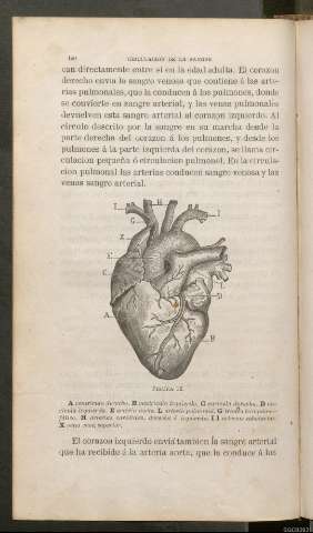 Página 190