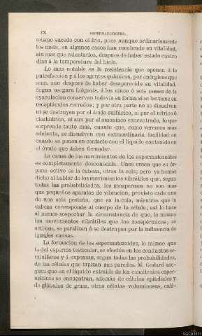 Página 376