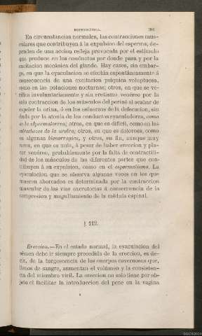 Página 381
