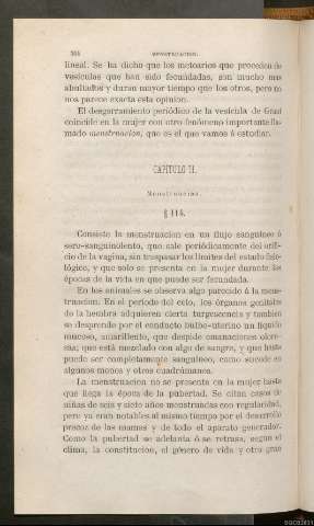 Página 394