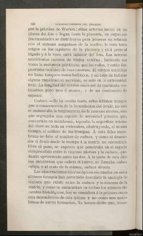 Página 428