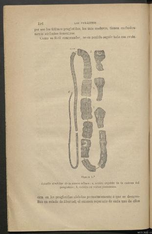 Página 194