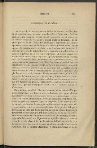 Página 267