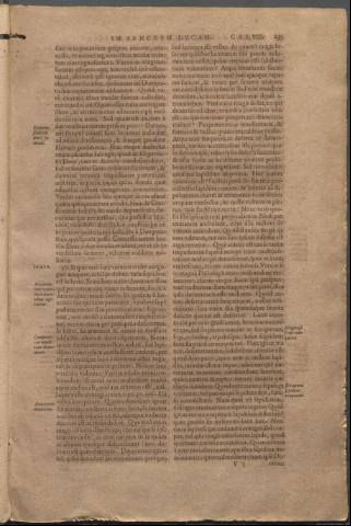 Página 233