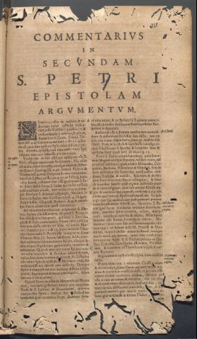 Página 335
