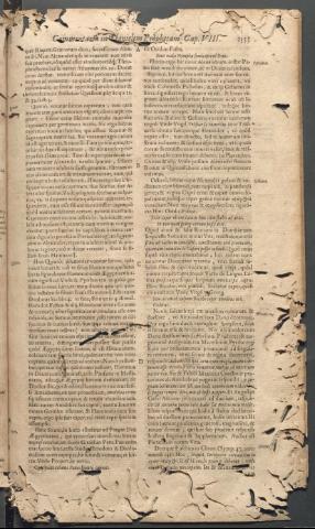 Página 1335