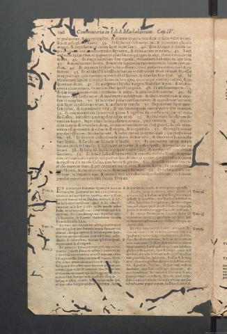 Página 196