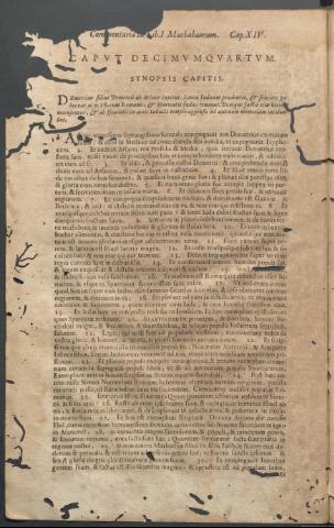 Página 242
