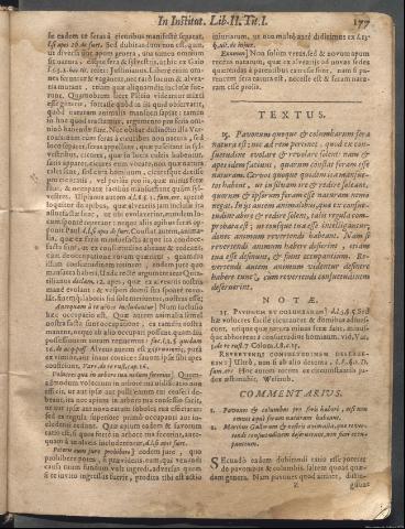 Página 177