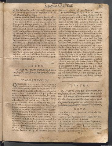 Página 181