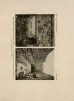 PLATE XIII