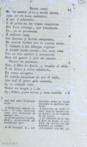 19