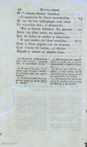 26
