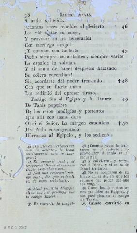 36