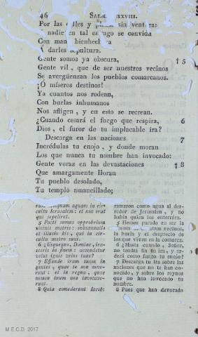 46
