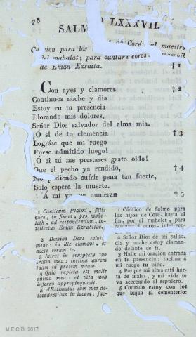 78
