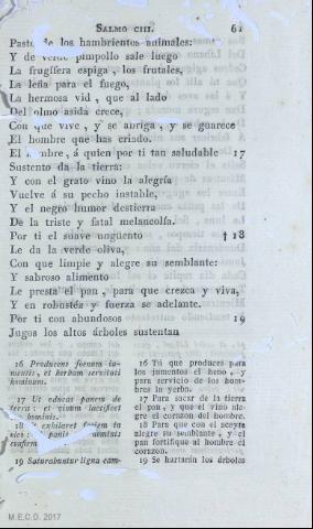 61