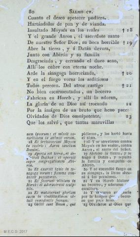 80