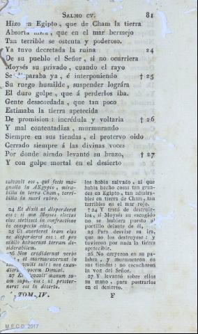81