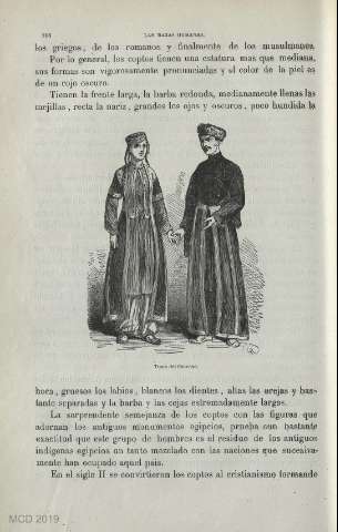 Página 0116