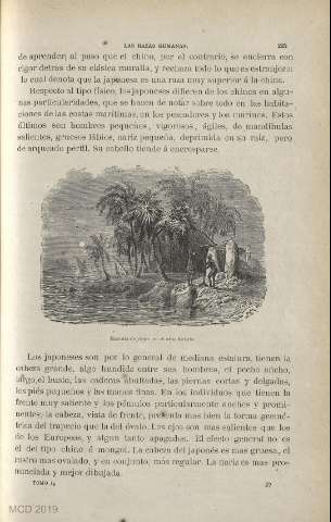 Página 0225