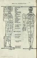 65v