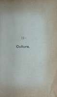 Texto