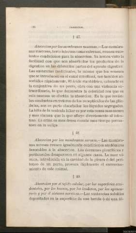 Página 146