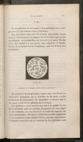 Página 179
