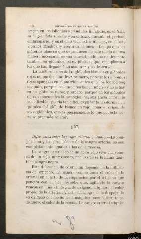 Página 184