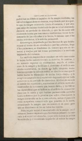 Página 194
