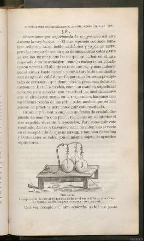 Página 261
