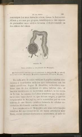 Página 353