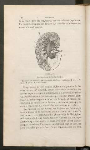 Página 354