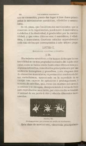 Página 194
