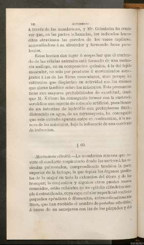 Página 196