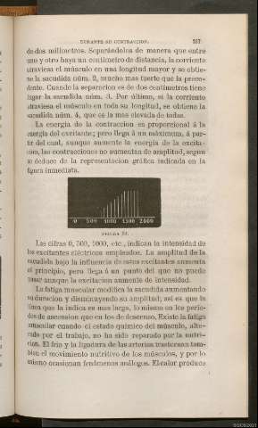 Página 237