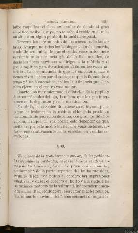 Página 333