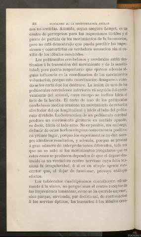 Página 334