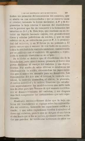 Página 419