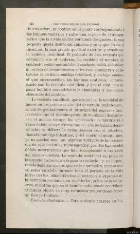 Página 422