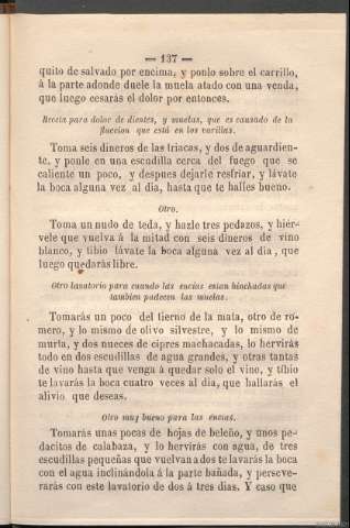 Página 137