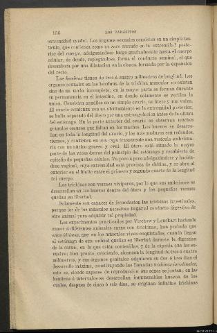 Página 156