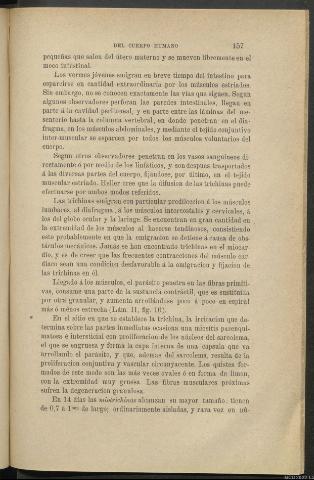 Página 157